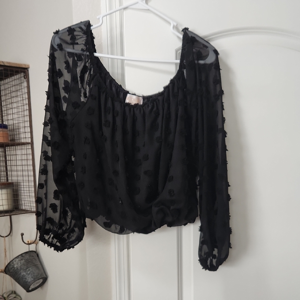 Francesca's Collections Black Sheer Blouse